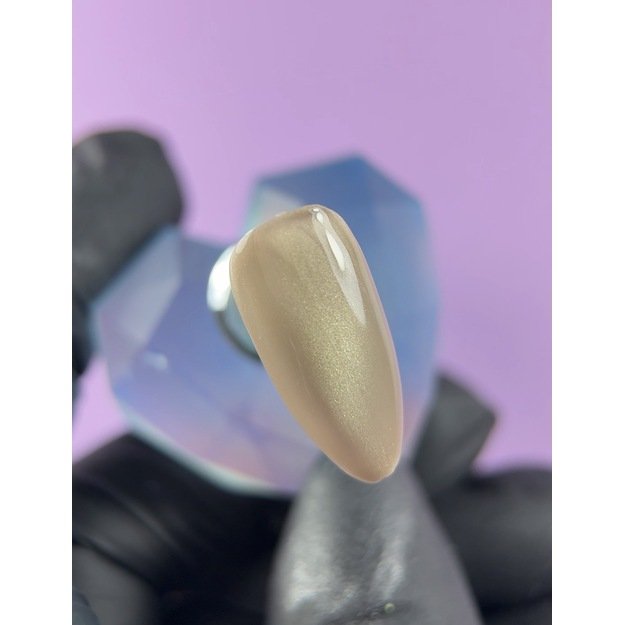 Gelinis lakas Jelly Gelly Champagne Silk Cat Eye 12 ml 1