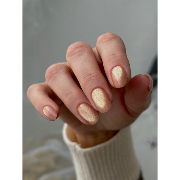 Gelinis lakas Didier Lab Cat Eye Illusion No4, 6 ml